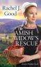 [Love and Promises 03] • The Amish Widow's Rescue